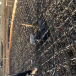 site 11.1.21 rebar view